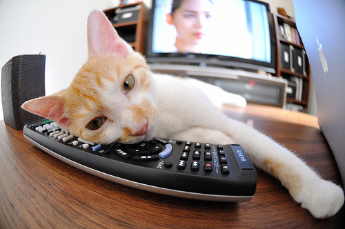 mk体育现在-德甲青训体系中前锋技术培养最佳案例,德甲青训体系中前锋技术培养最佳案例分析