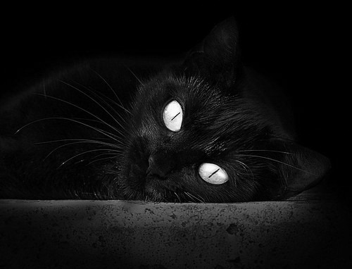 mk体育全站-英超裁判语义分析提升跨语言判罚一致性,2021赛季英超裁判