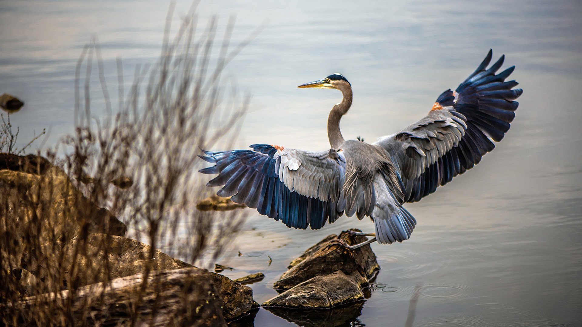 mk体育官网-中国女足新任队长接受专访谈备战细节，中国女足足球队队长