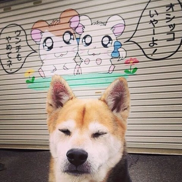 mk体育app-体育明星跨界参与综艺热度不减，体育明星专访