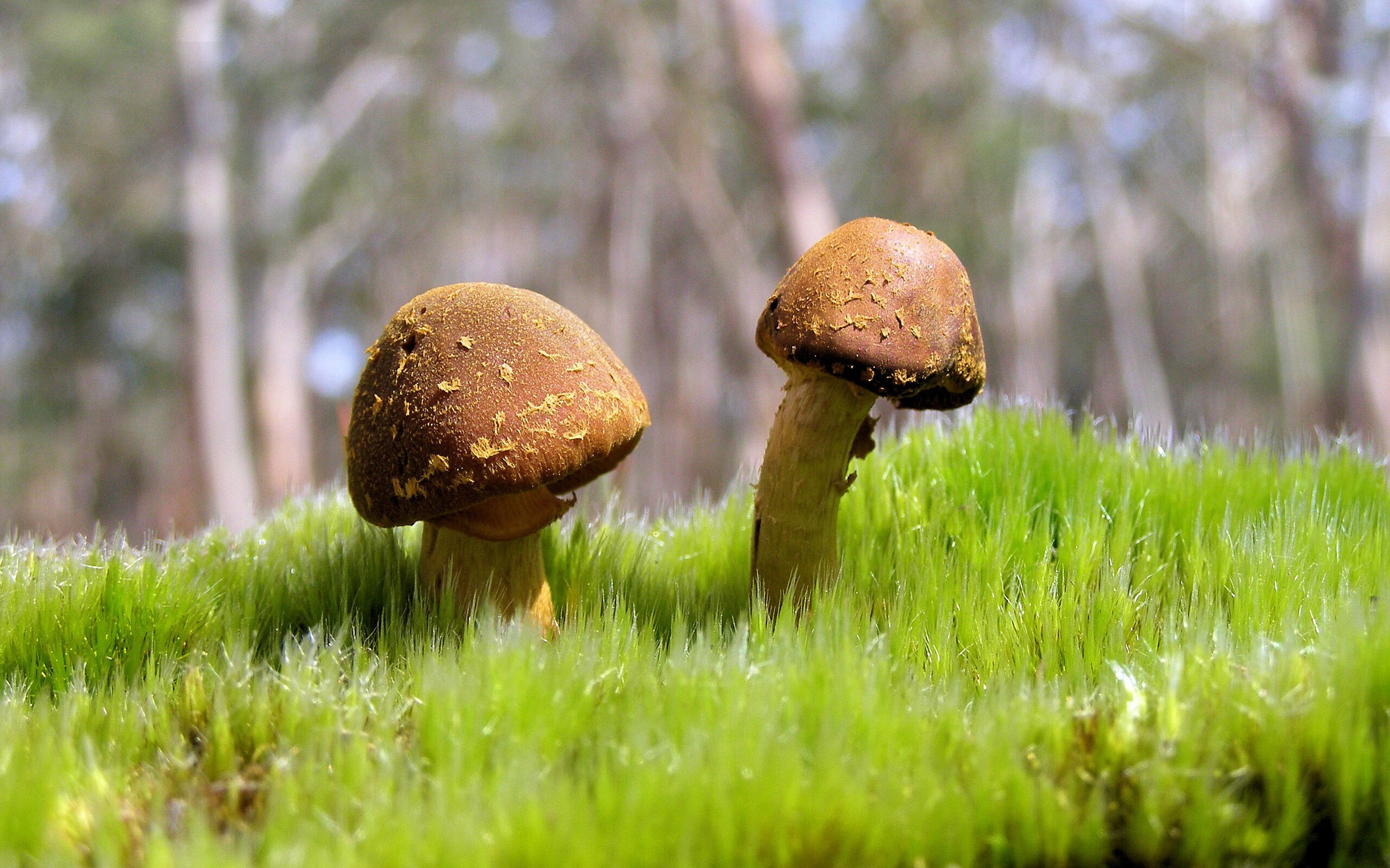 mk体育登录-国际乒乓赛事逐步恢复,球迷热情回归,国际乒乓球比赛结果