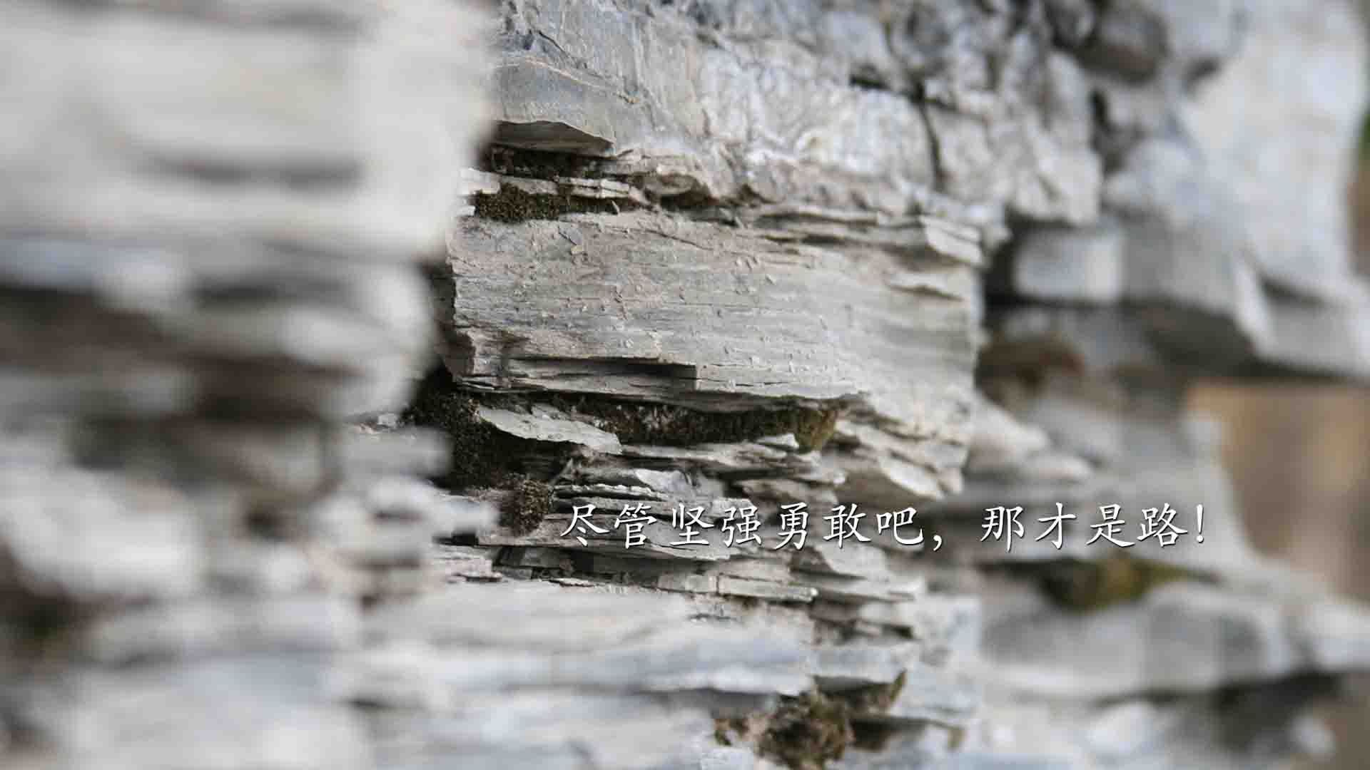 mk体育网址-浙江雄狮在训练中注重攻防转换节奏,雄狮建筑装饰股份有限公司