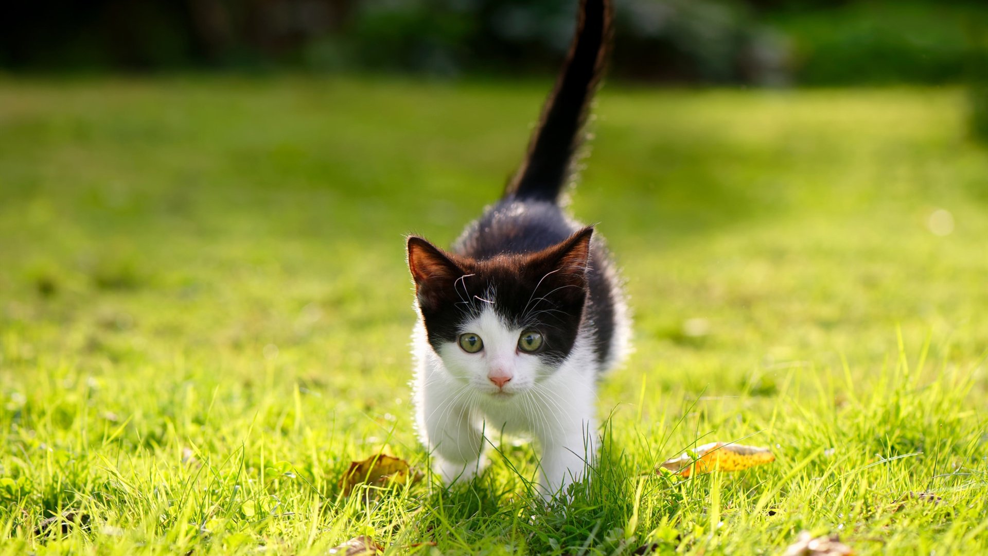 mk体育app-球星公益行动展现场外温度