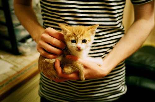 mk体育平台登录入口-罗马尼亚队如何突破自我,在国际乒联混合团体世界杯中展现实力