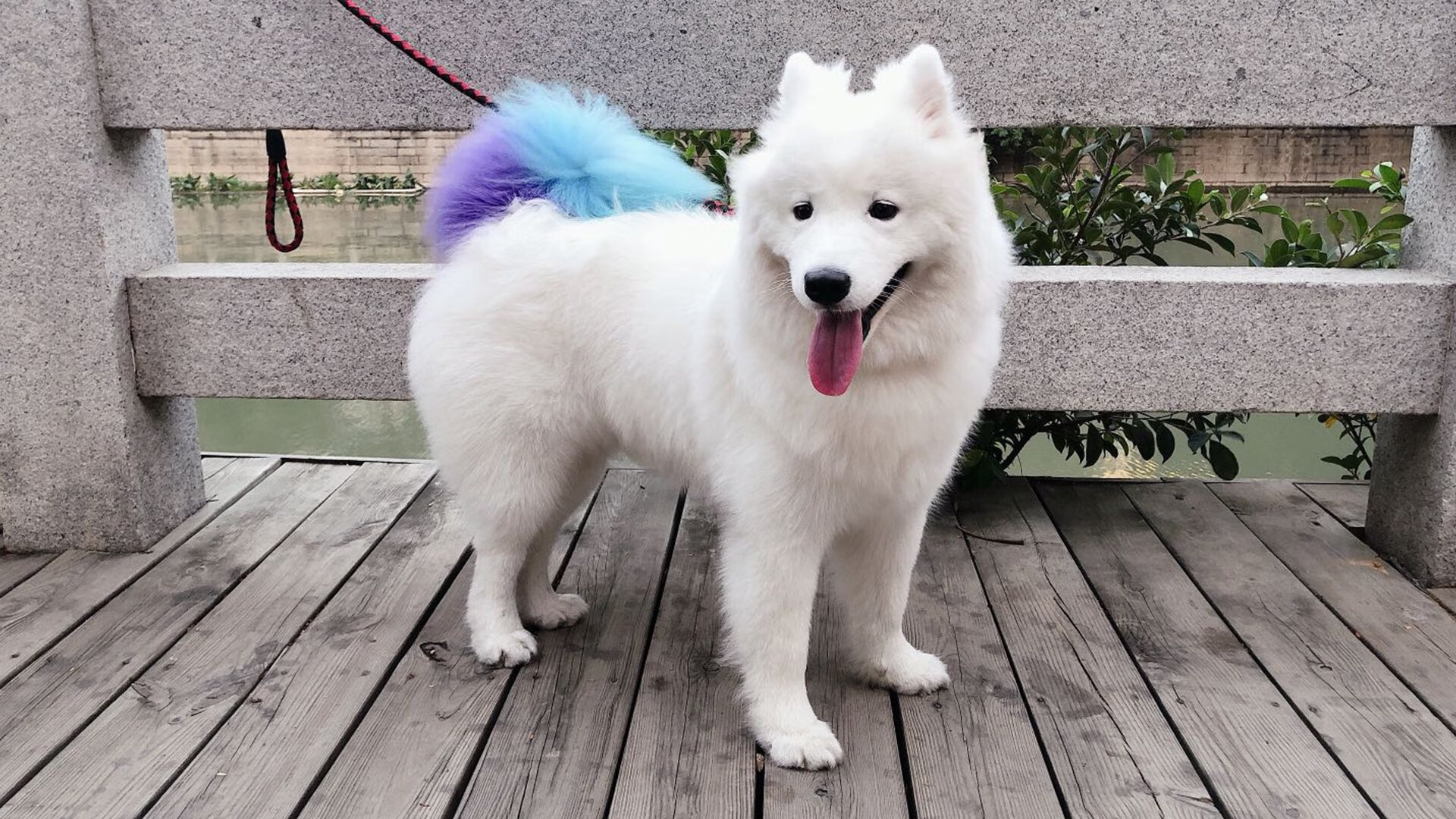 mk体育网页-中国男篮火线复出亚运会,中国男篮亚运会名单_中国男篮吧