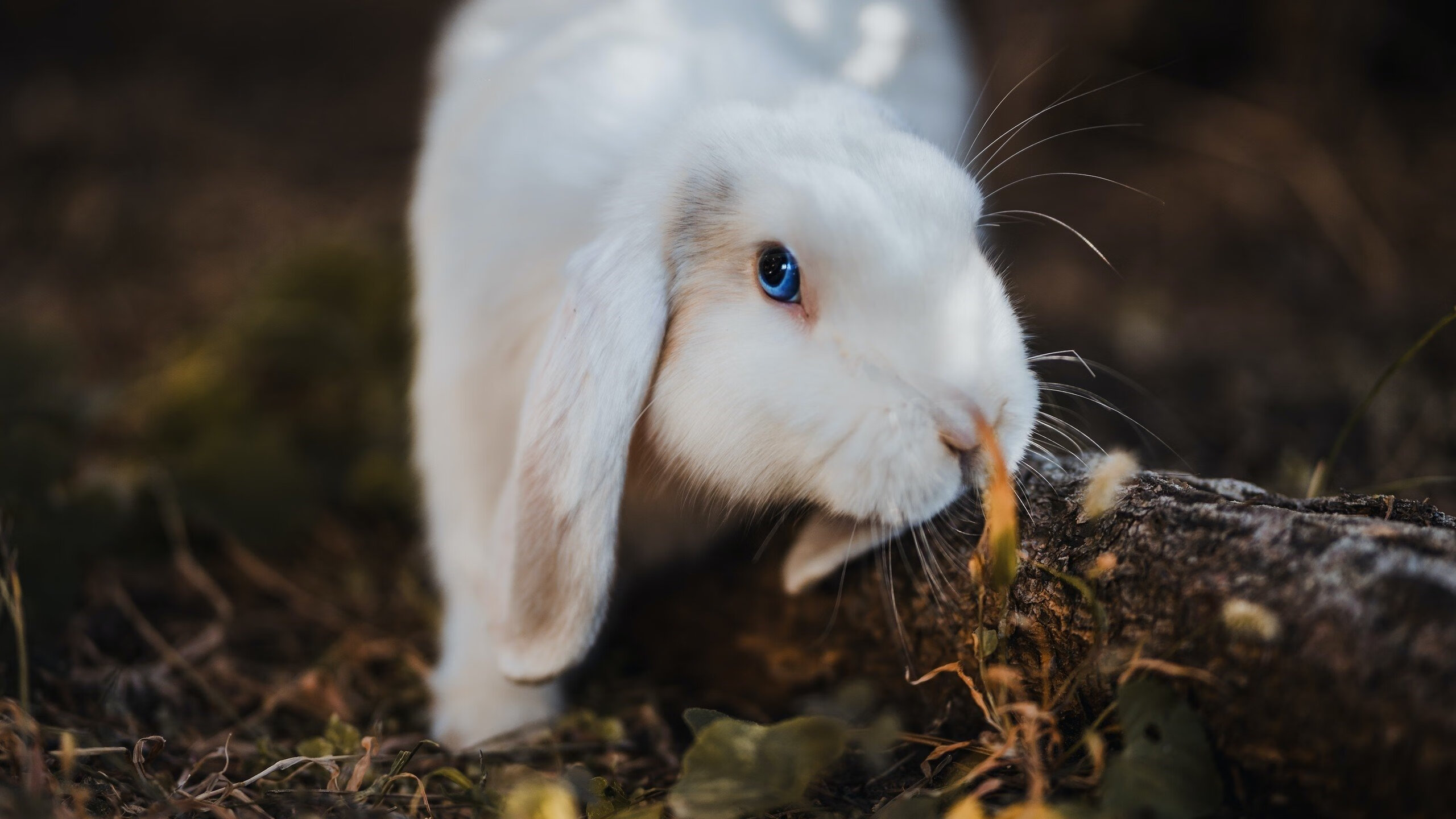 mk体育登录-女子篮球青年队强化控球能力提升比赛掌控力，女子篮球训练计划项目