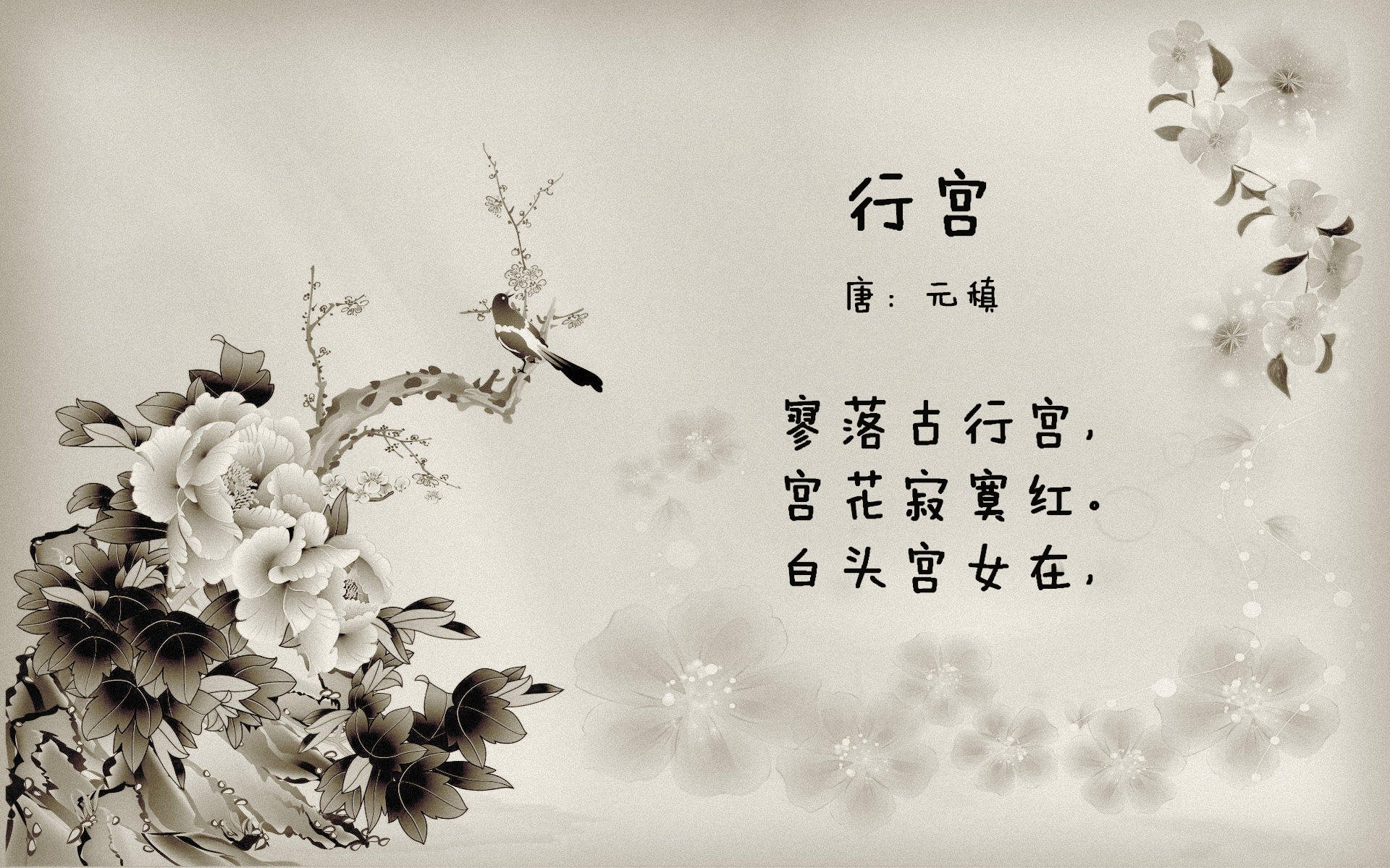 mk体育现在-安哥拉男篮在非洲锦标赛中夺冠,体育传统继续发扬光大,安哥拉国家男子足球队