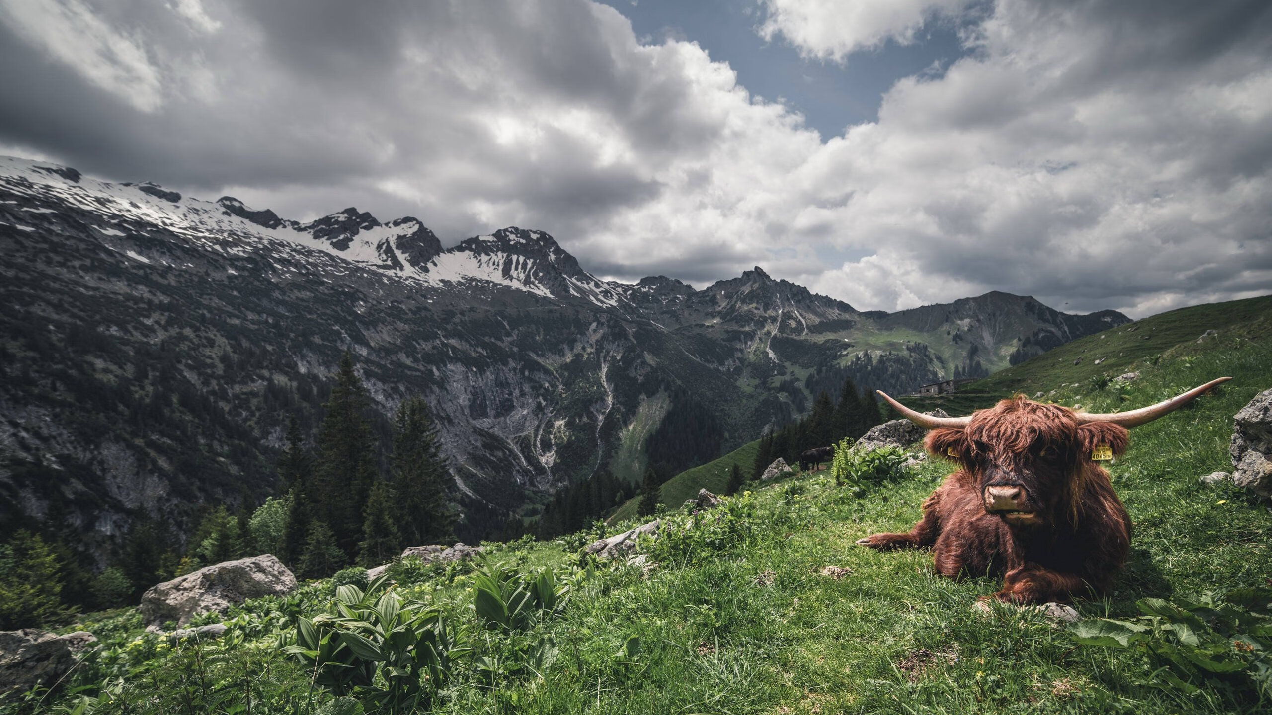 mk体育网址-教练员培训班开设专题课程聚焦现代战术理念与数据分析,起底“教练技术”培训